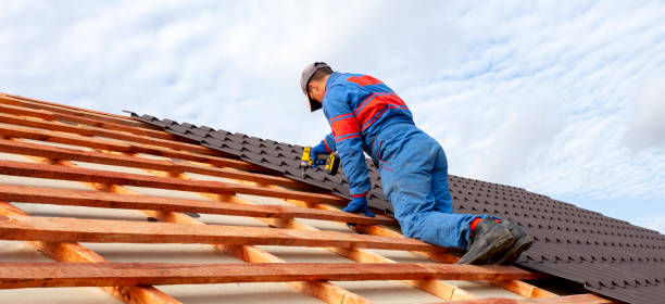 Best Chimney Flashing Repair  in Chase City, VA